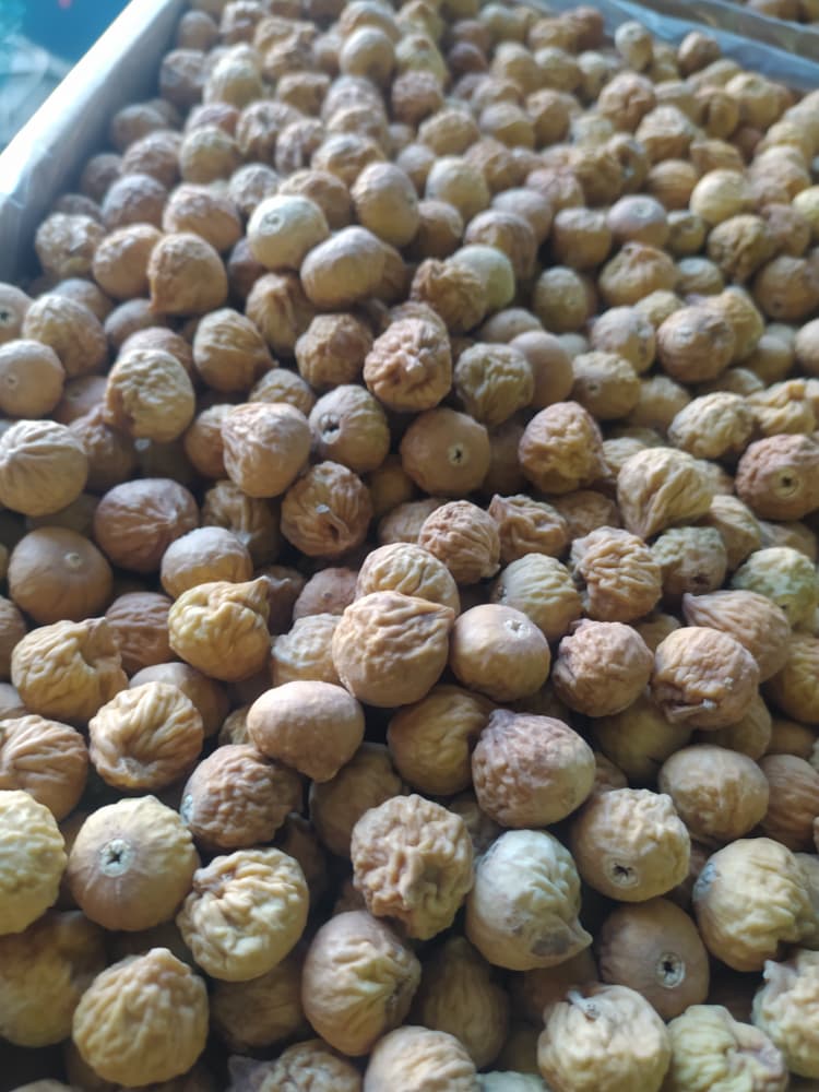 تصویر 1 از مرکز پخش انجیر خشک شرکتی استهبان